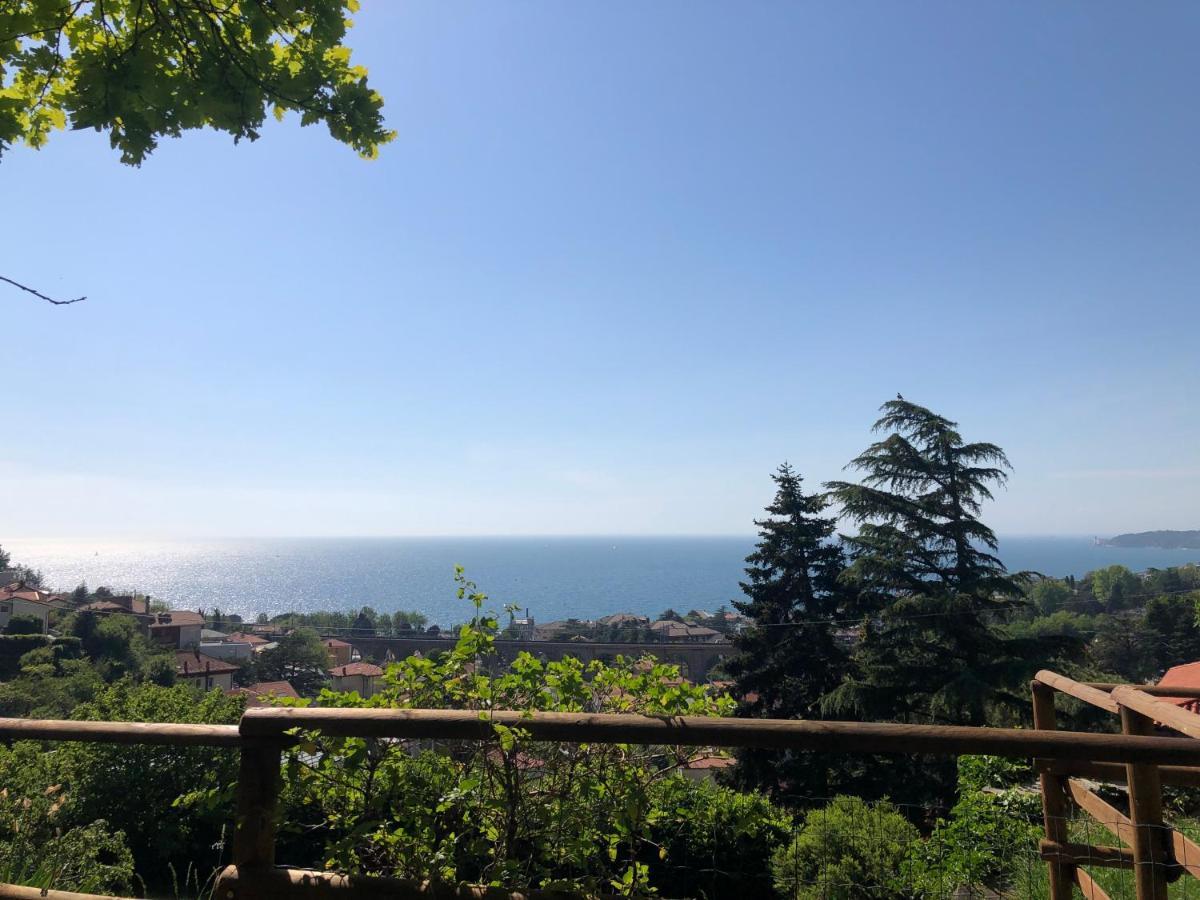Esperia Casa Vacanza Trieste Ngoại thất bức ảnh