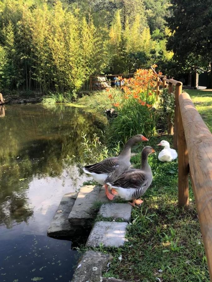 Esperia Casa Vacanza Trieste Ngoại thất bức ảnh
